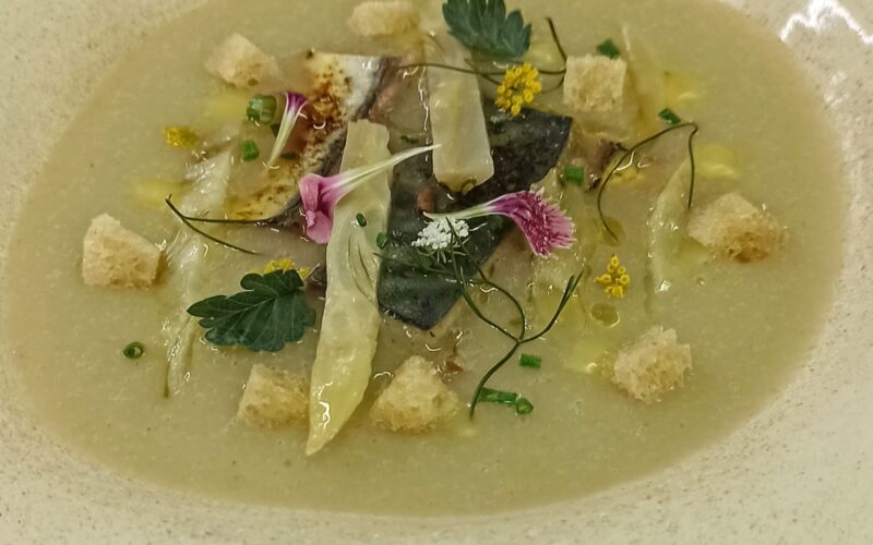 Sopa freda de fonoll i verat marinat Sopa freda de fonoll i verat marinat